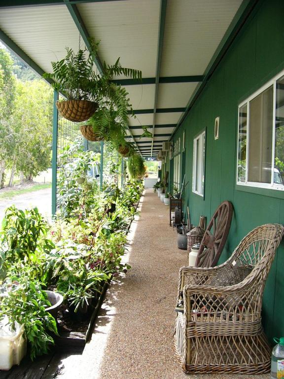 Daintree Wild Bed & Breakfast Bagian luar foto