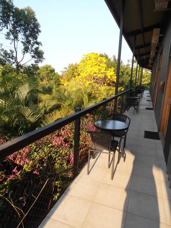 Daintree Wild Bed & Breakfast Ruang foto