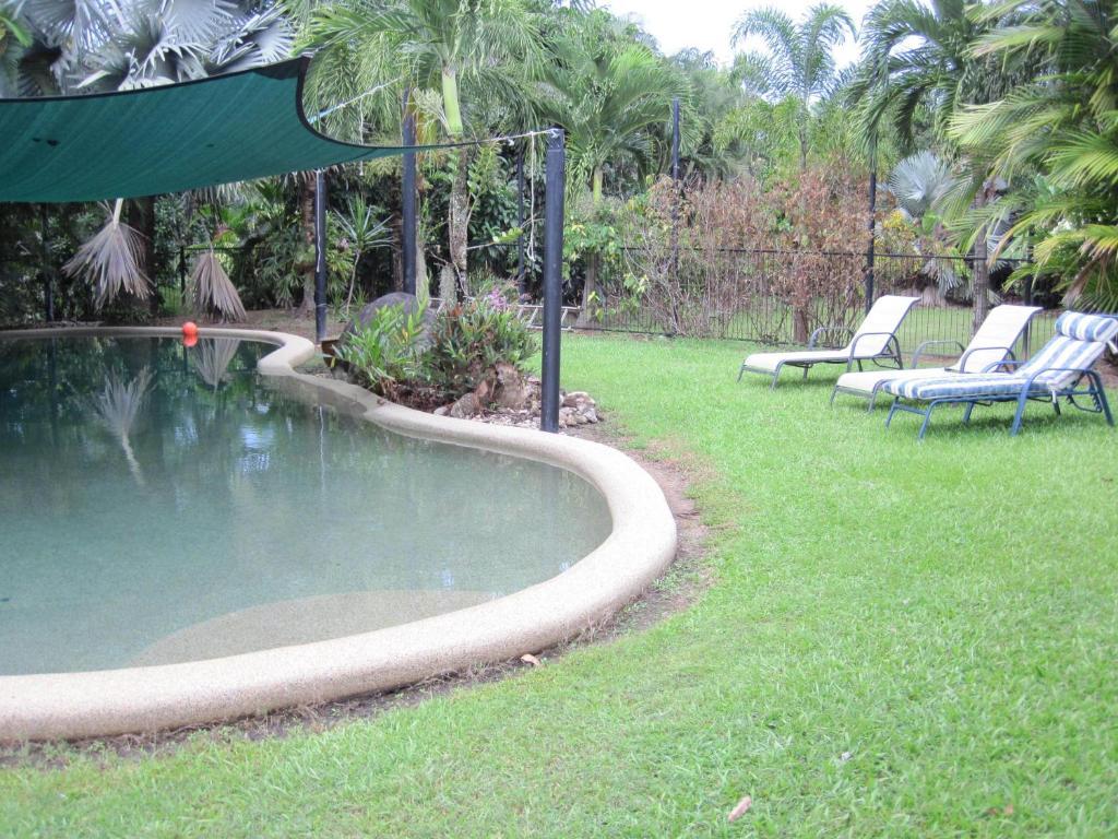 Daintree Wild Bed & Breakfast Bagian luar foto