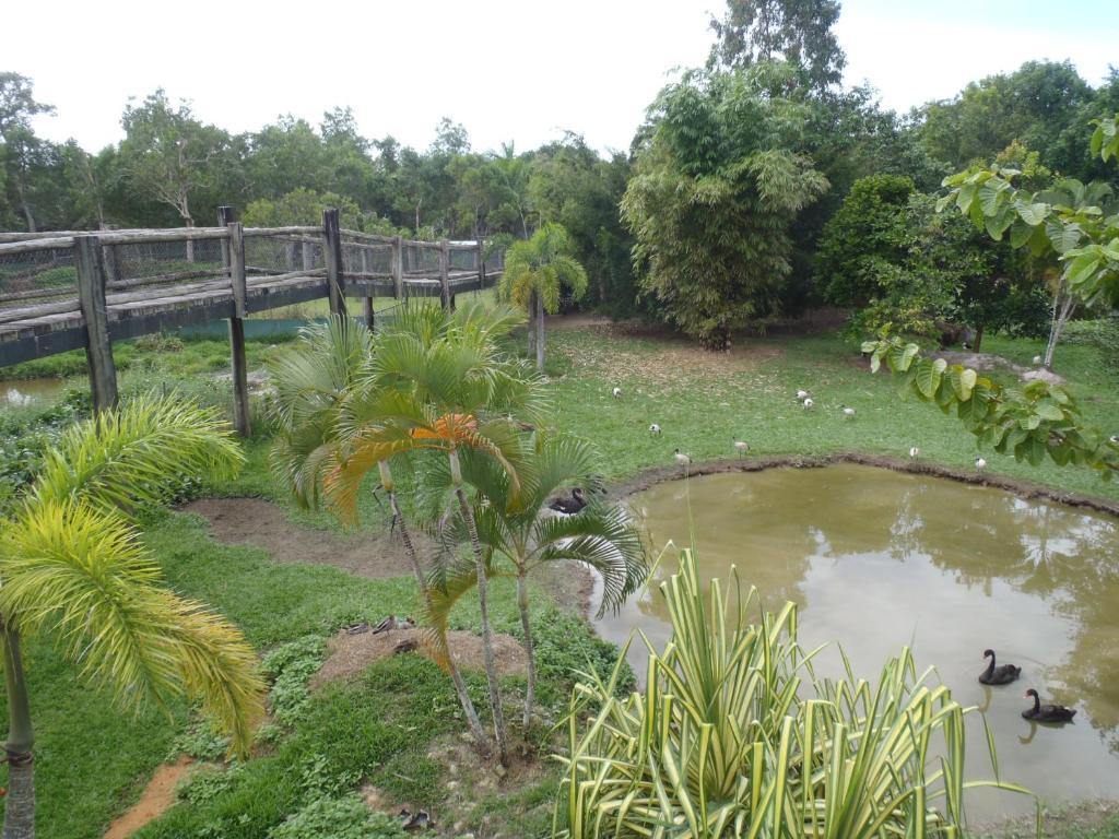 Daintree Wild Bed & Breakfast Bagian luar foto