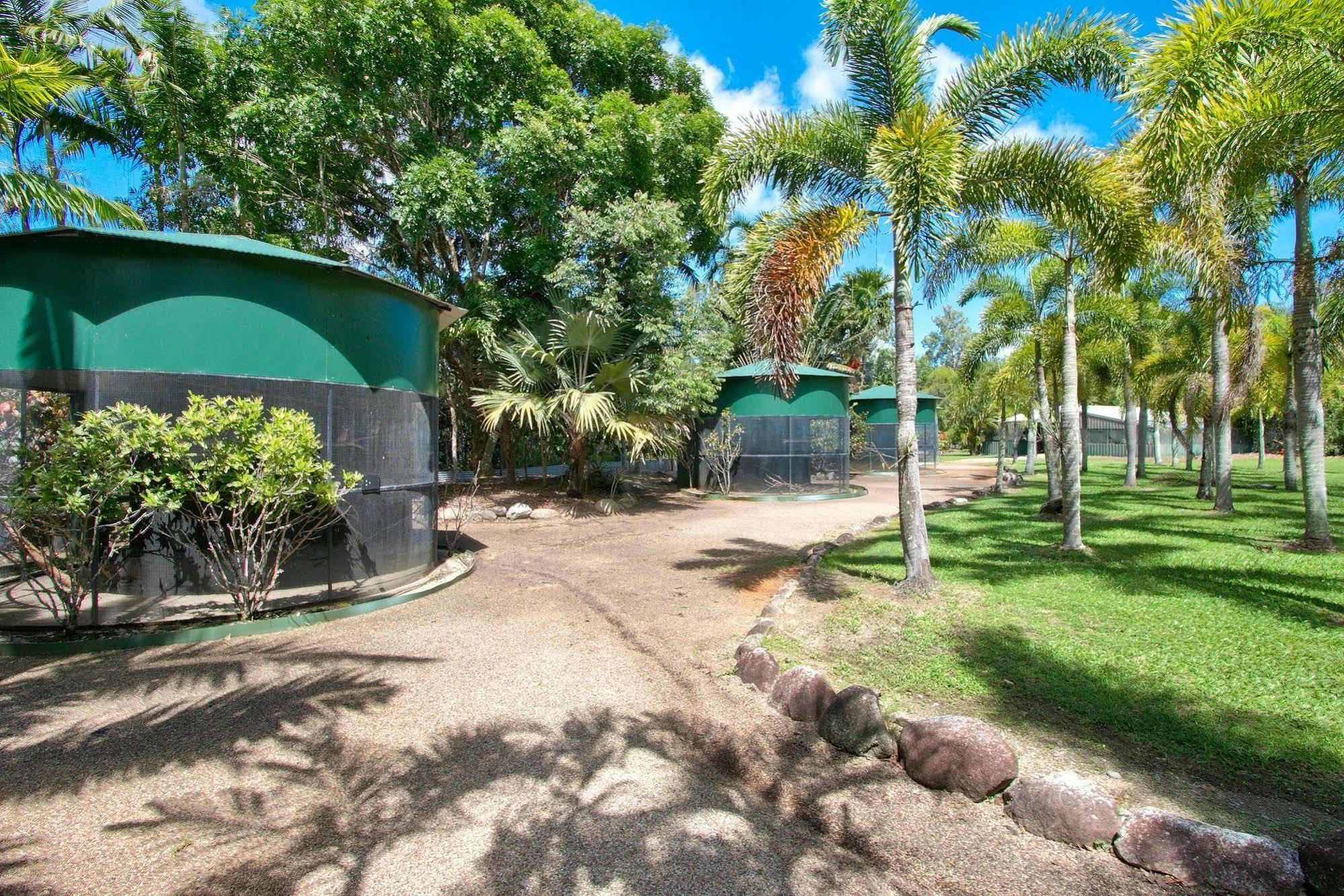Daintree Wild Bed & Breakfast Bagian luar foto