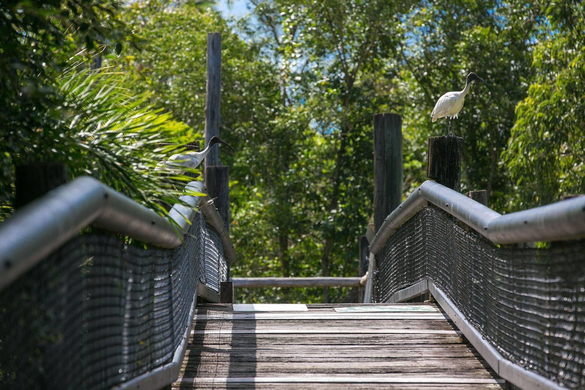 Daintree Wild Bed & Breakfast Bagian luar foto